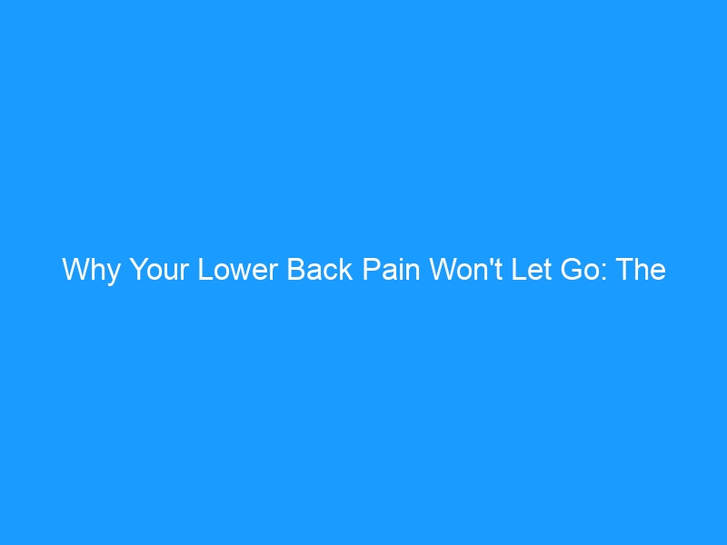 Why Your Lower Back Pain Won’t Let Go: The Complete Guide for 2026 — Causes, Relief, Exercises & When to See a Doctor